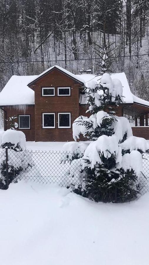 Bieszczadzki Klin Bklin Villa Cisna Buitenkant foto