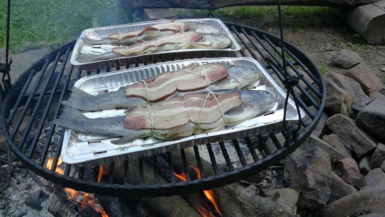 Bieszczadzki Klin Bklin Villa Cisna Buitenkant foto