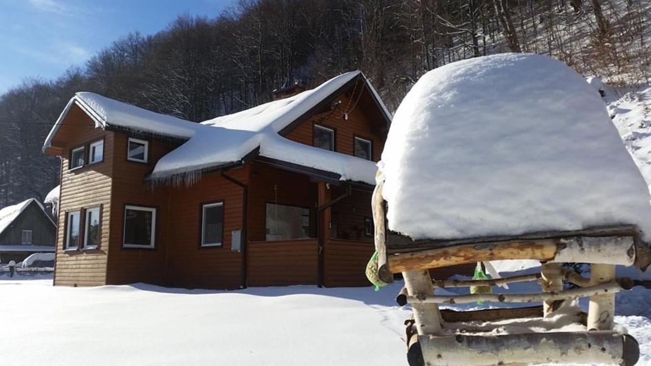 Bieszczadzki Klin Bklin Villa Cisna Buitenkant foto