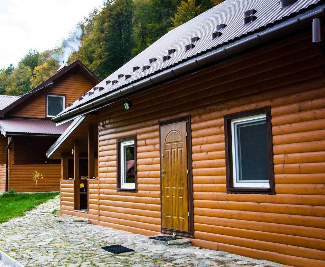Bieszczadzki Klin Bklin Villa Cisna Buitenkant foto