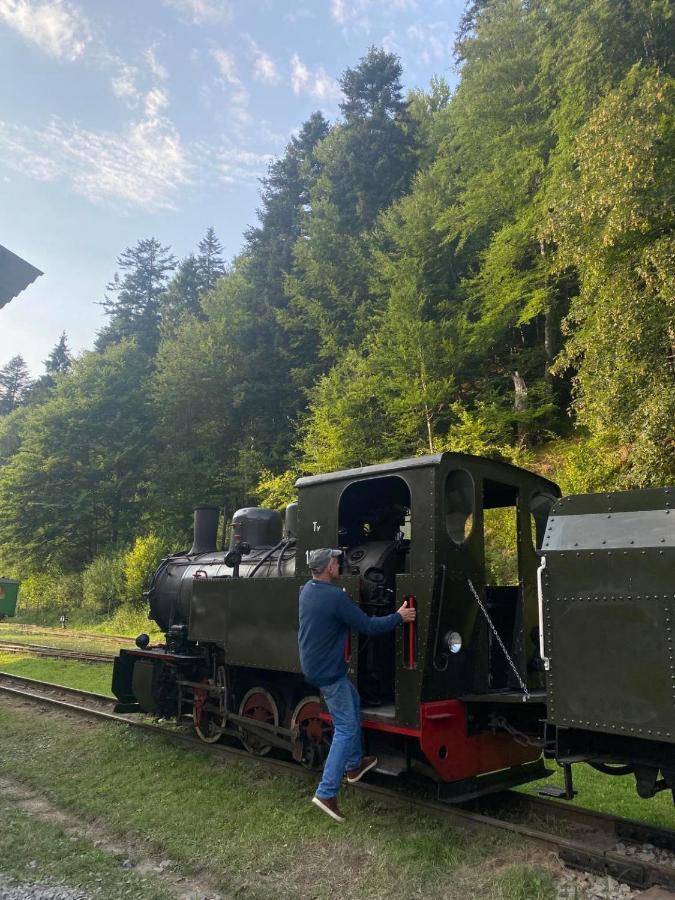 Bieszczadzki Klin Bklin Villa Cisna Buitenkant foto