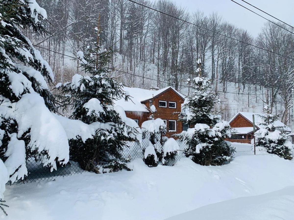 Bieszczadzki Klin Bklin Villa Cisna Buitenkant foto