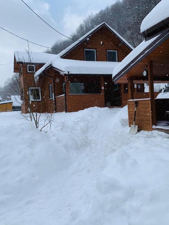 Bieszczadzki Klin Bklin Villa Cisna Buitenkant foto