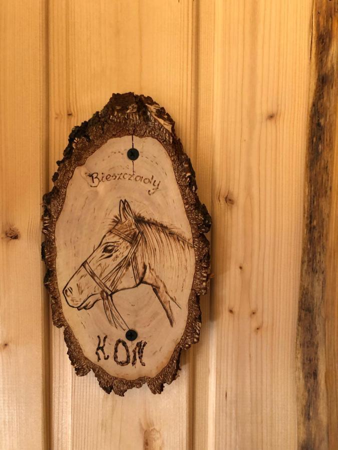 Bieszczadzki Klin Bklin Villa Cisna Kamer foto
